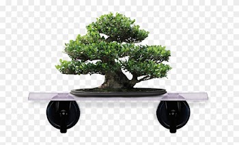 Artificial Bonsai Tree