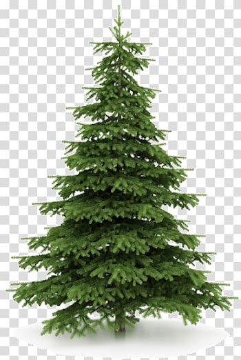 Artificial Christmas tree Christmas decoration, christmas tree transparent background PNG clipart