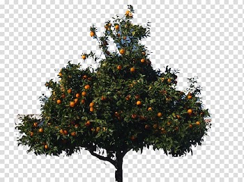 Artificial Christmas tree Fir, arboles transparent background PNG clipart