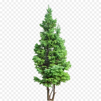 Artificial Christmas tree Pre-lit tree Christmas Tree Stands - baumschwamm 