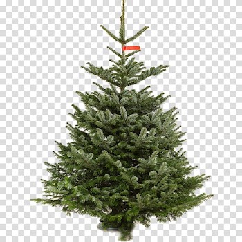 Artificial Christmas tree Pre-lit tree, christmas tree transparent background PNG clipart