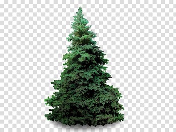 Artificial Christmas tree Pre-lit tree Pine Christmas Day, Real Birds transparent background PNG clipart