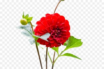 Artificial flower