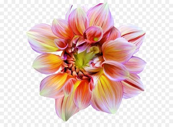 Artificial flower Floral design Petal Portable Network Graphics - flower 