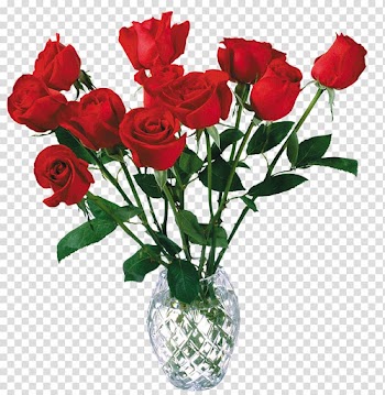 Artificial flower Garden roses Red, white roses transparent background PNG clipart