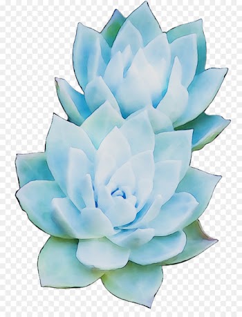 Artificial flower Petal Cut flowers Turquoise -  