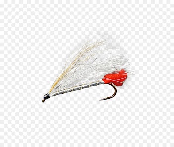 Artificial fly Eastern blacknose dace Holly Flies Email September 1 - streamer flies 