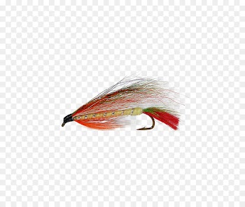 Artificial fly Royal Coachman Streamer Brook trout Rainbow trout - Fly Tying 