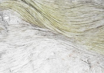Artificial fur, abstract texture close | Free Photo - rawpixel