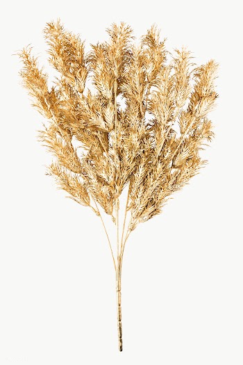 Artificial gold fern leaves design element | Free  transparent png - 2355415