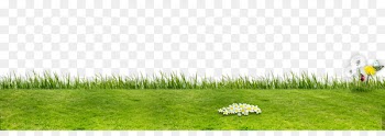 Artificial turf Grassland Flora Ecosystem Lawn - Green field 
