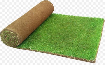 Artificial Turf, Lawn, Landscape Design, Green, Grass PNG