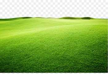 Artificial turf Sports venue Green Grassland Grasses - Yellow green vibrant plane 
