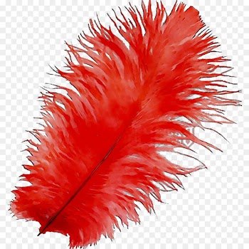 Artist Feather Creativity Party Wannabe -  