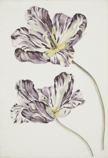 Artist possibly Josepha Tusch. Original | Free Photo - rawpixel