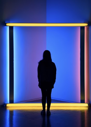 Artsy Back View Silhouette Photo of Woman Standing In Front of Neon Lit Room