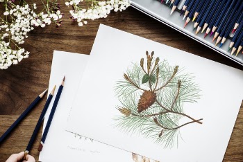 Artwork On Paper