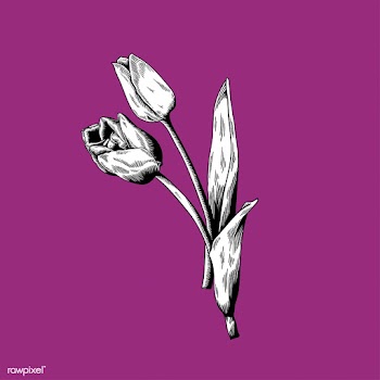 Artworks creative drawing | Free stock vector - 2103