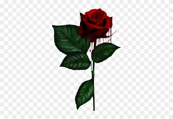 As Darklove - Red Rose