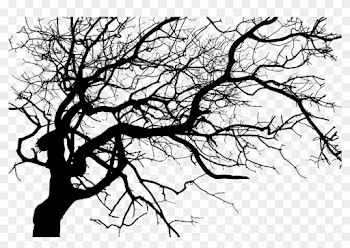 Asheville Haunted Hearse Tour Dark Ride Tours - Black Creepy Tree Png