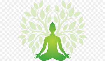 Ashtanga vinyasa yoga Hatha yoga Kundalini yoga - Yoga 