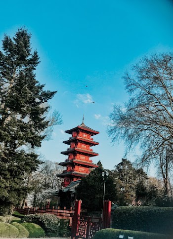 Asian Architecture
