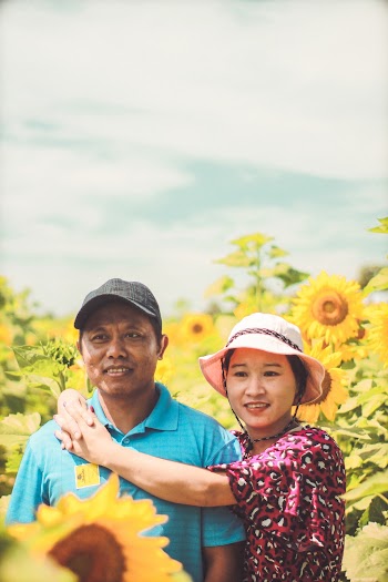 Asian Couple In A Field Of Sunflowers