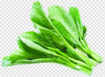 Asian cuisine Leaf vegetable Chinese cabbage, Cabbage vegetables transparent background PNG clipart