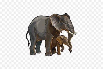 Asian elephant African elephant Vector graphics Royalty-free - elephant 