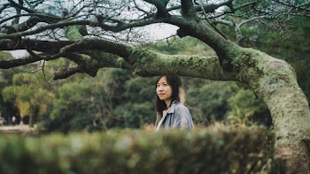 Asian Girl In A Park
