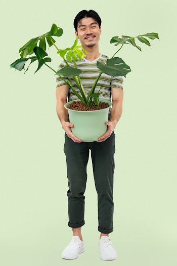 Asian man holding potted monstera plant | Free stock photo | High Resolution image