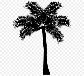 Asian palmyra palm Arecaceae Silhouette Clip art - Palm Tree Silhouette PNG Clip Art 