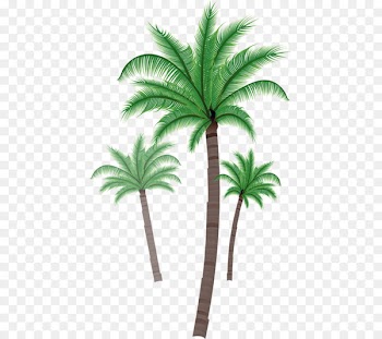 Asian palmyra palm Coconut Palm trees Clip art Illustration - coconut 