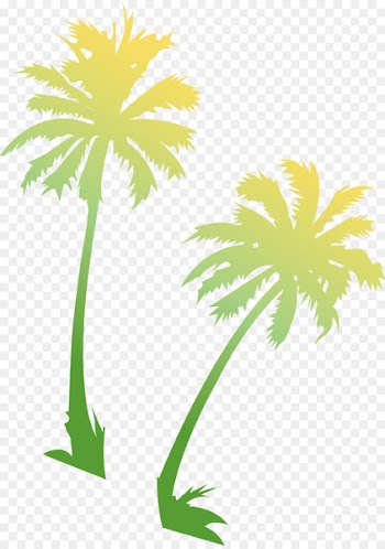 Asian palmyra palm Coconut Portable Network Graphics Palm trees Image - bangalow palm 