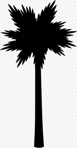 Asian palmyra palm Computer Icons Image Scalable Vector Graphics Beach -  
