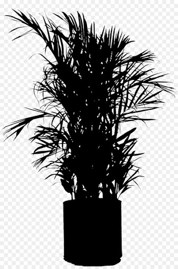 Asian palmyra palm Flowerpot Houseplant Silhouette Plant stem -  