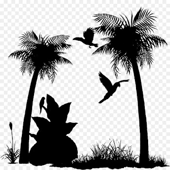 Asian palmyra palm Palm trees Silhouette Sky Branching -  