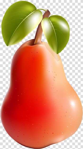 Asian pear Apple Fruit Cherry, Sydney leaves transparent background PNG clipart