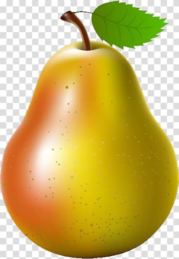 Asian pear Fruit , pear transparent background PNG clipart