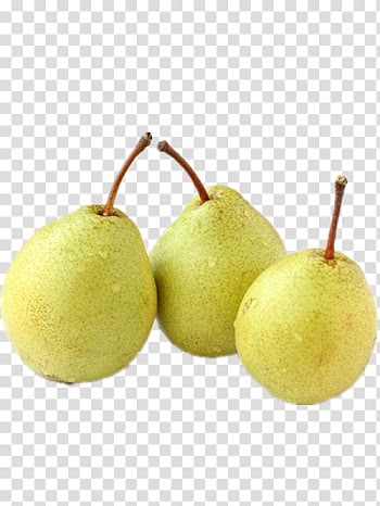 Asian pear Shuangjiang Vegetable Food Auglis, Three pears transparent background PNG clipart