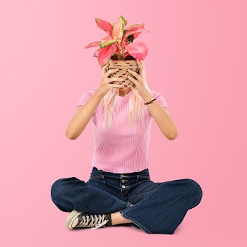 Asian woman holding potted aglaonema plant | Free stock photo | High Resolution image
