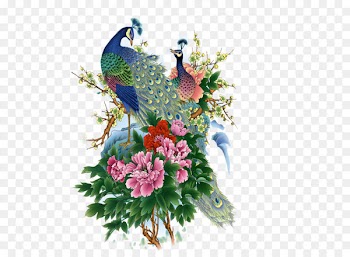 Asiatic peafowl Bird Painting - Birds and Flowers 