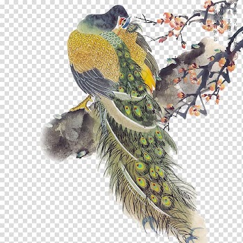 Asiatic peafowl Bird Painting Feather, peacock transparent background PNG clipart