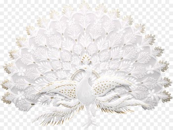 Asiatic peafowl Bird - White Peacock 