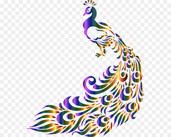 Asiatic peafowl Black and white Feather Clip art - God Bird ...