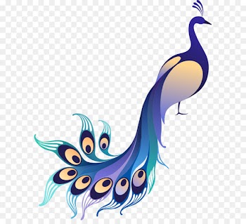 Asiatic peafowl Stock illustration Clip art - Vector gradient blue peacock 