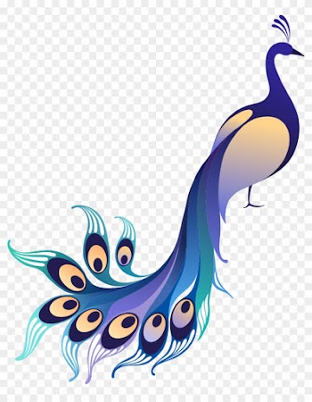 Asiatic Peafowl Stock Illustration Clip Art - Vector Peacock Art Png