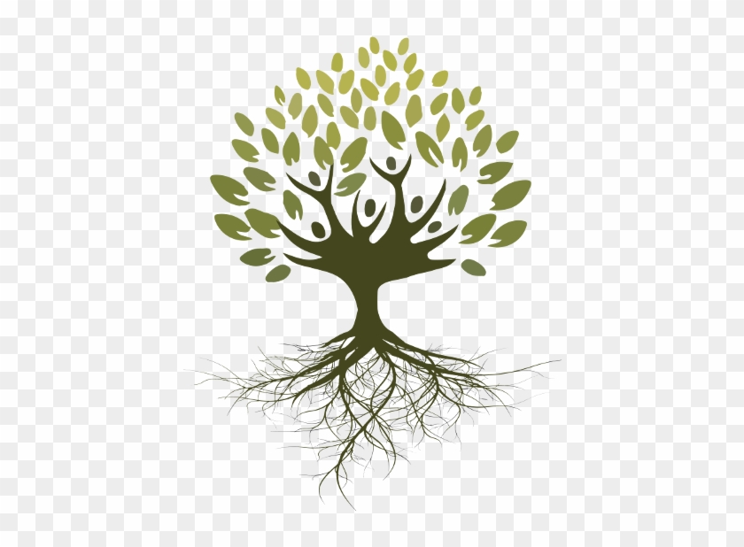 Asociaci N Ra Ces For Dibujo De Arbol Con Raices Y - Arbol Con Raices Png