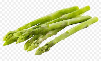 Asparagus Negative-calorie food Nutrient Health -  