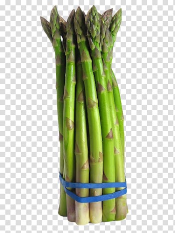 Asparagus Vegetable Broccoli Food Crop yield, onion slices transparent background PNG clipart